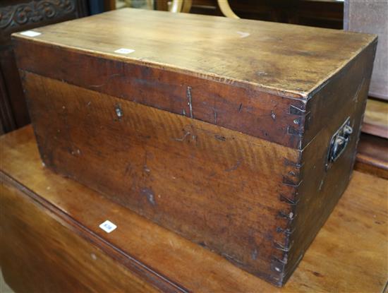 Camphorwood trunk